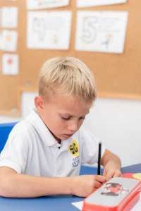 Primary School - Imagem 9 da galeria