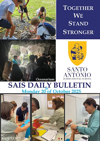 Daily Bulletin 20102025