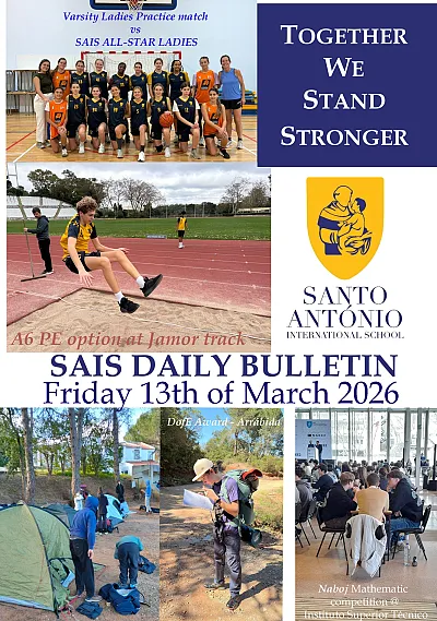 Daily Bulletin 130326