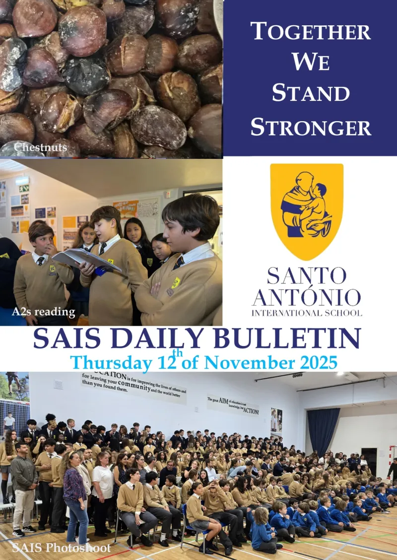 Daily Bulletin 12112025