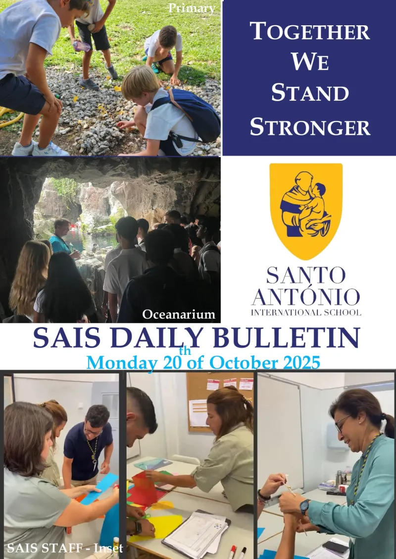 Daily Bulletin 20102025