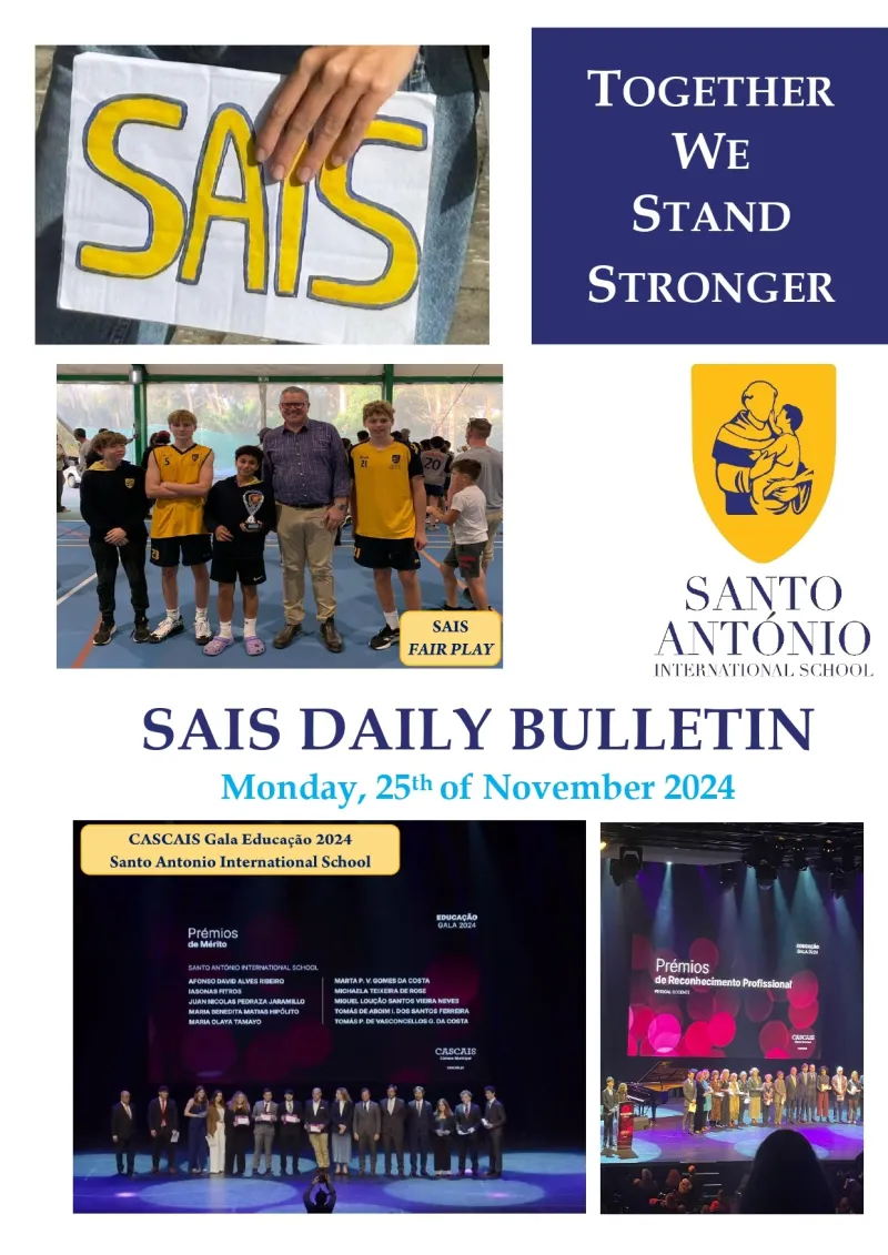 Daily Bulletin 25.11.2024