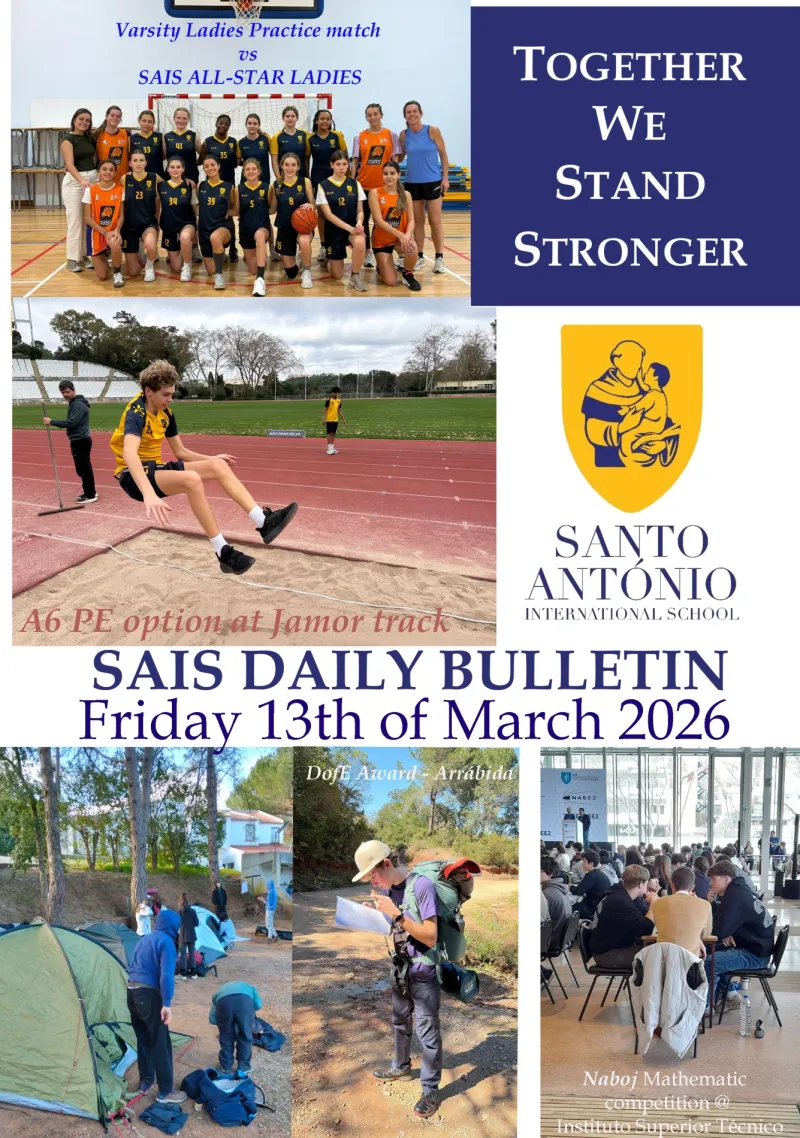 Daily Bulletin 130326